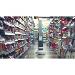 The Retail Shelf-Auditing Robot